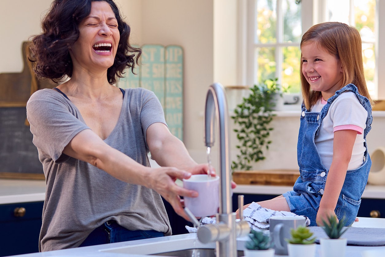 Whole Home Water Filtration System