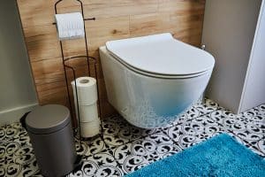 Your Guide to Toilet Installation and Repair