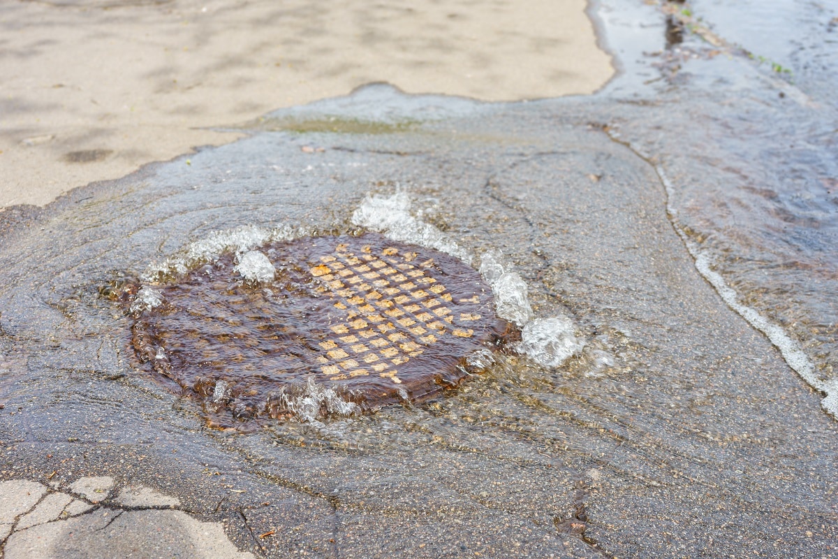 Severe Clogged Drain backing up in need of repair