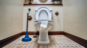 a-photo-of-a-clogged-toilet