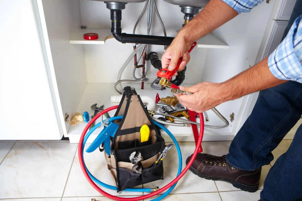Plumbing Inspection By A Plumber (convert.io)